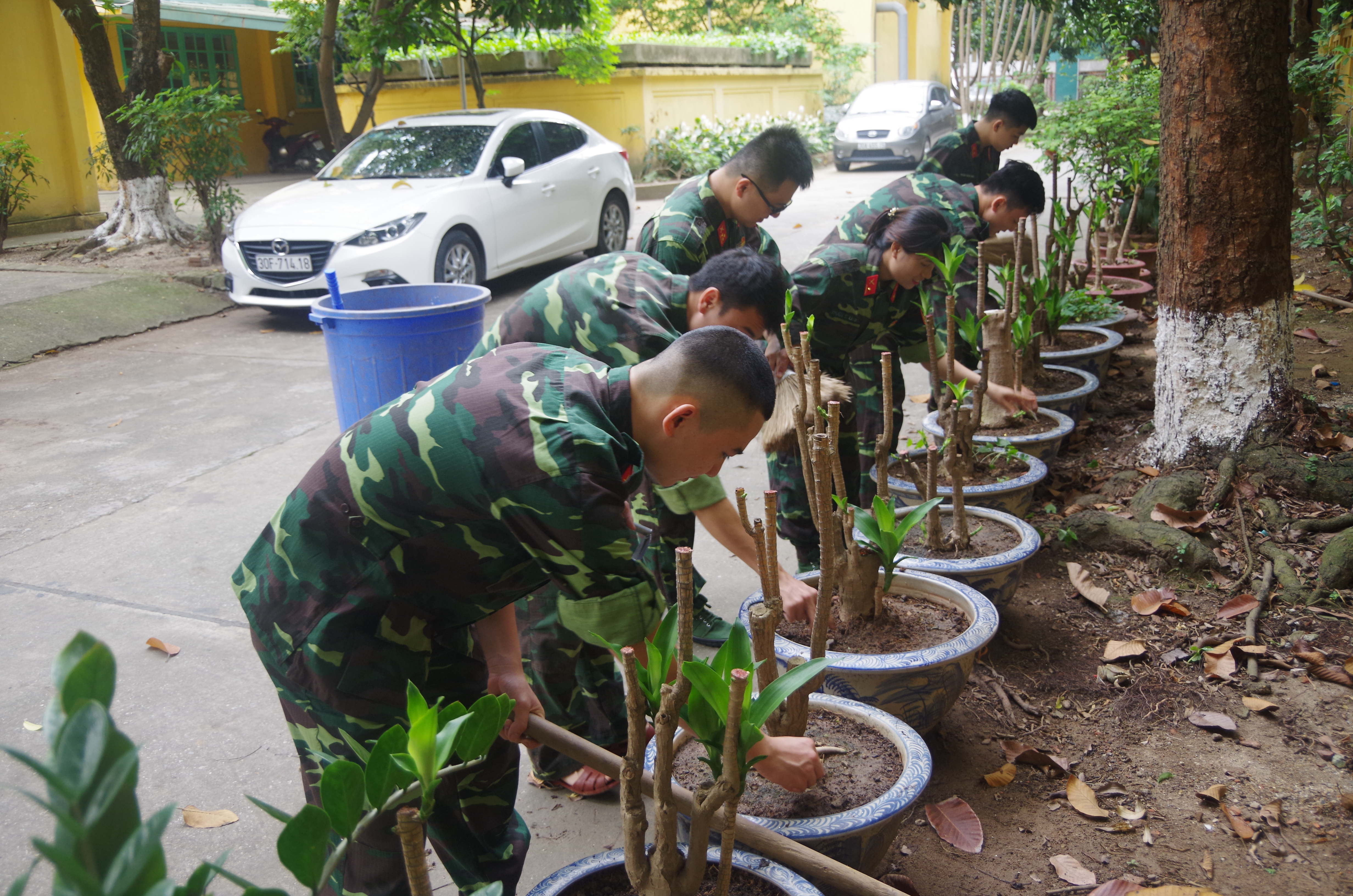 Doan thanh nien 195 1