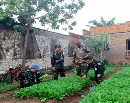 phat huy pham chat giu gin hoa binh 2