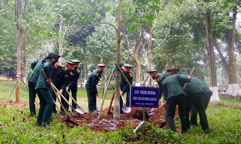 vien y hoc du phong bao cong va trong cay tai K9 1