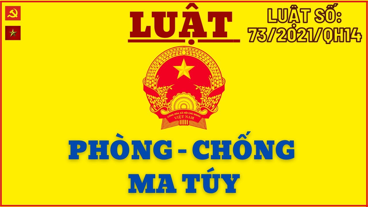 TH tim hieu mot so quy dinh cua phap luat ve phong chong ma tuy