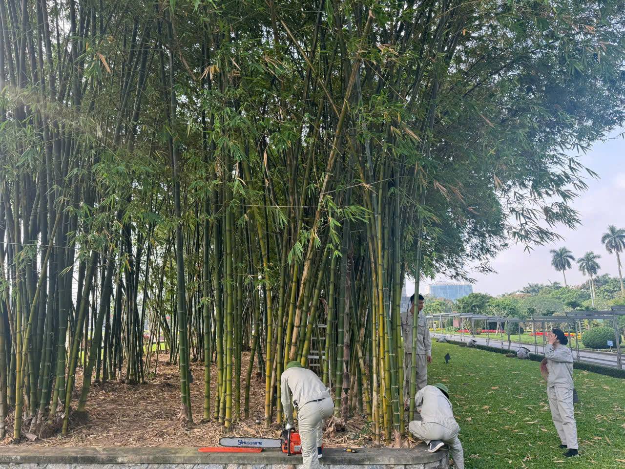 z7994699572186 87268c92f8e66cd282675e7959425631