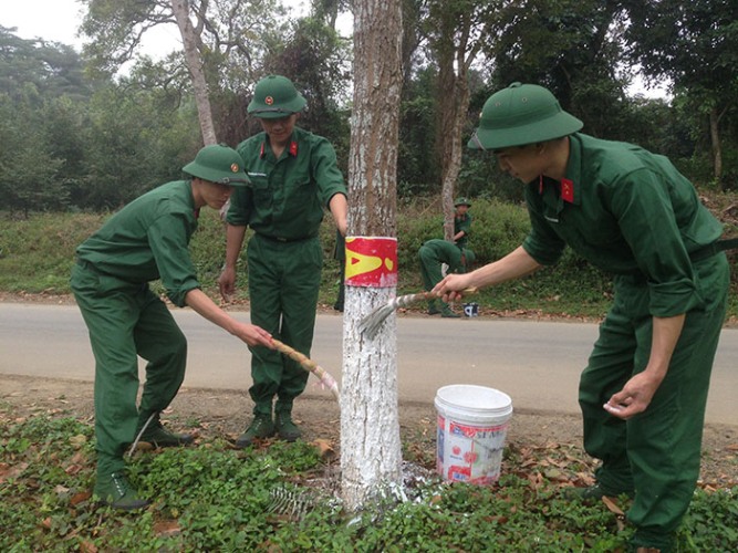 Ngay thanh nien anh4