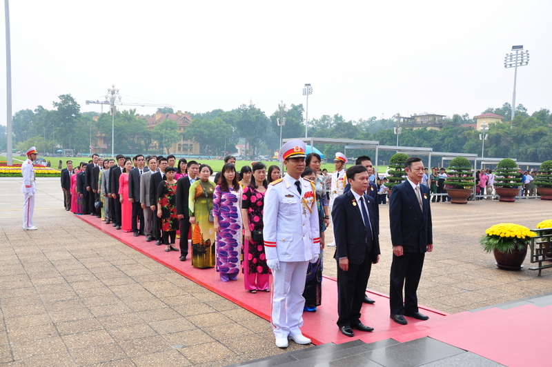 doan-cong-vien-cay-xanh-2016-2