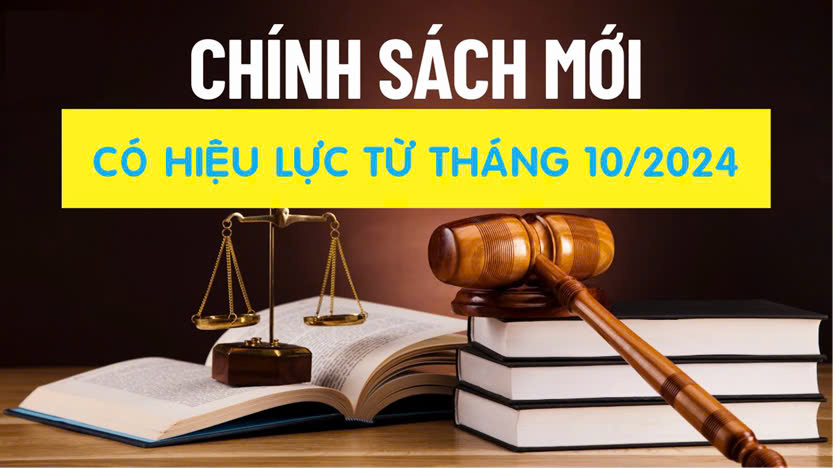 chinhsach102024