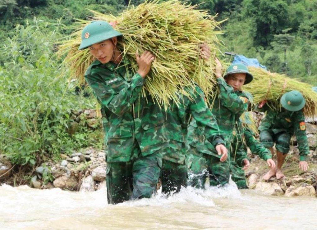 bo doi cu ho 1