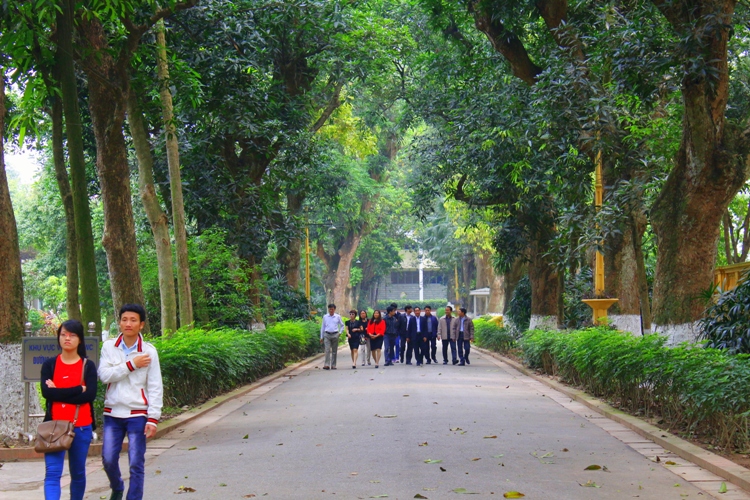 duong-xoai11