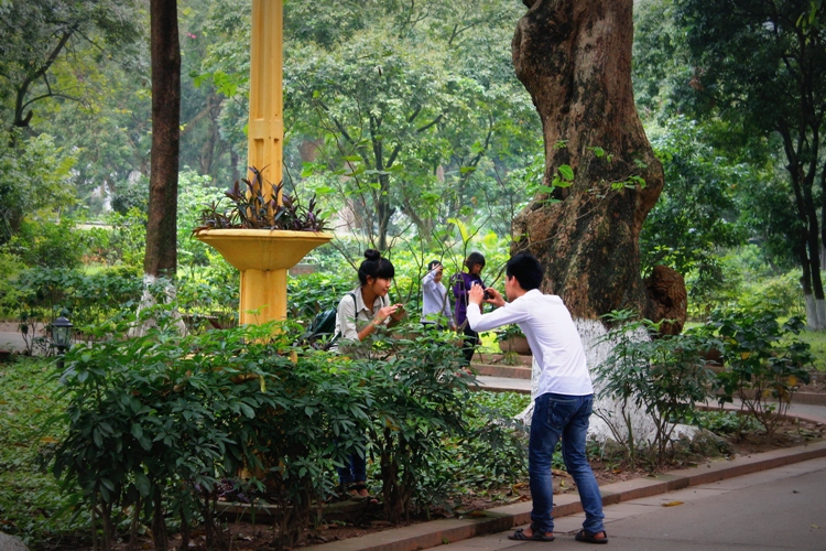 duong-xoai14