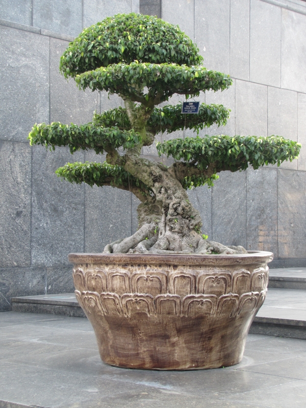 Sanh Ha Noi