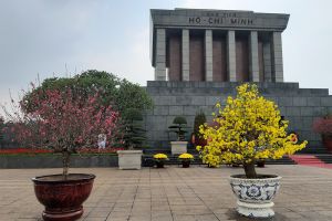 Chùm ảnh: Mùa Xuân bên Lăng Bác Hồ