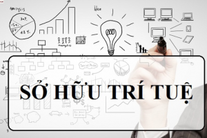 Văn bản quy phạm pháp luật có hiệu lực thi hành trong tháng 9 năm 2019