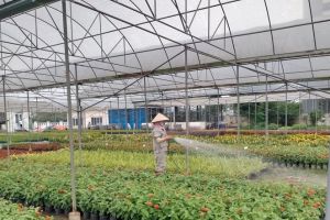 Đẩy mạnh phong trào thi đua, quyết tâm thực hiện thắng lợi các nhiệm vụ chính trị được giao