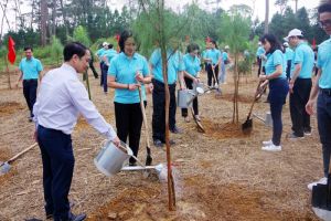 Phát động chương trình “Agribank - Vì tương lai xanh - Thêm cây, thêm sự sống”