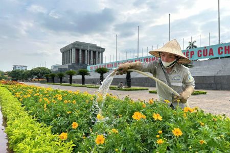 ĐOÀN 195 CHỦ ĐỘNG CHĂM SÓC, BẢO VỆ CẢNH QUAN MÔI TRƯỜNG KHU VỰC LĂNG CHỦ TỊCH HỒ CHÍ MINH
