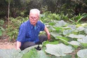 Hoàng Tấn Quang: Người “thích