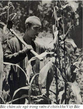 BH tang gia
