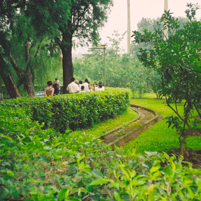 coi bac xua